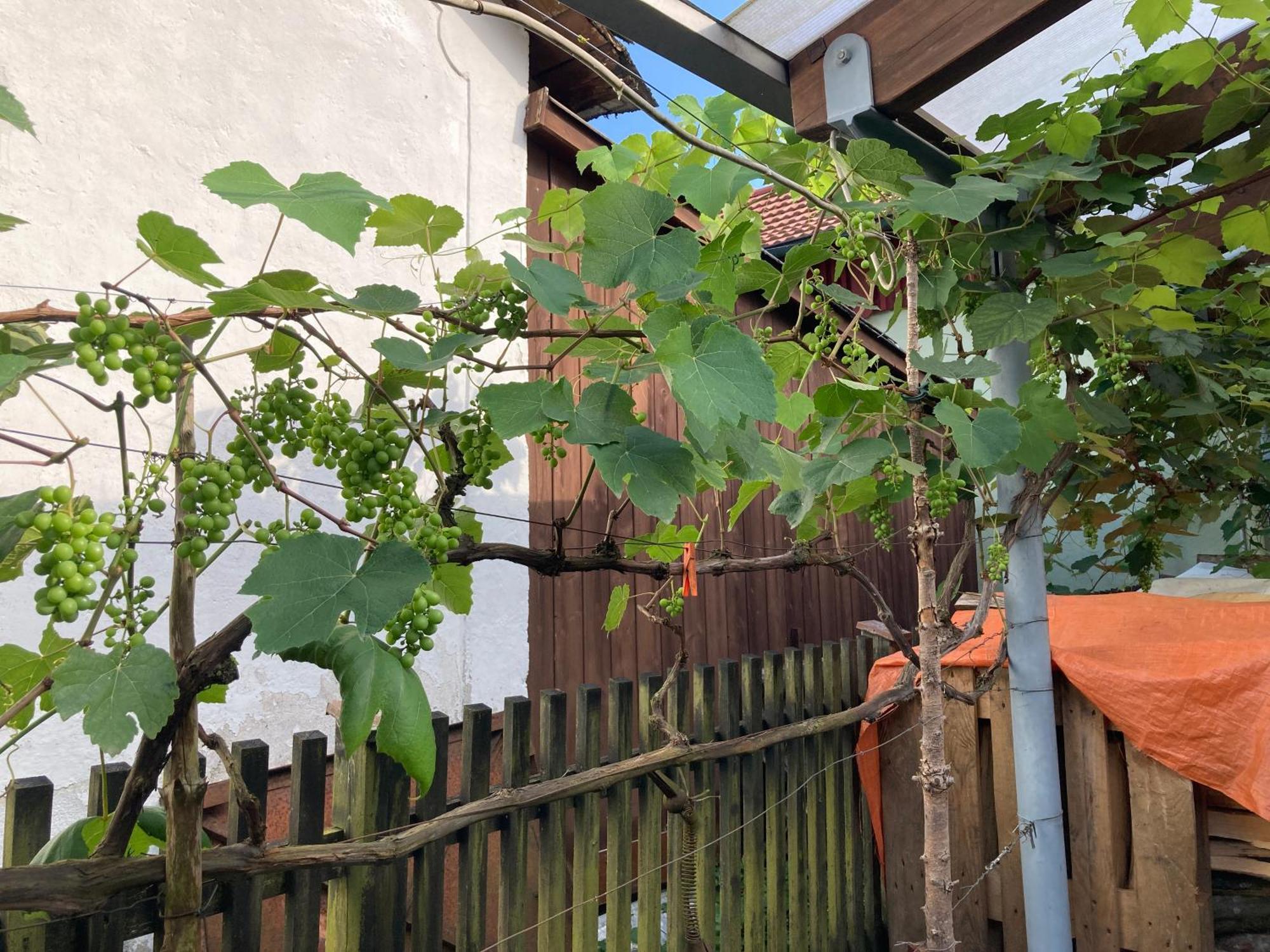 Ferienwohnung Schreiner Wernstein am Inn Exteriör bild